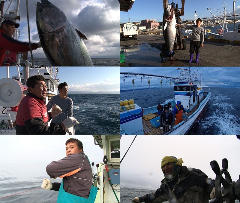 洋上の激闘 巨大マグロ初競り戦争２０１９ テレビ東京 の番組情報ページ テレビ東京 ｂｓテレ東 7ch 公式