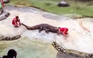 仰天パニックシアター 仰天パニックシアター