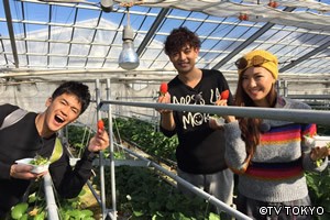 2泊3日で5万円! 冬の草津~奥日光温泉&グルメ満喫旅