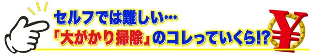 コレっていくら? ~なかなか聞けないアノ値段聞いてみた~