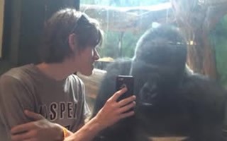 仰天パニックシアター ~まさかの瞬間ビビる108連発大みそかSP!~