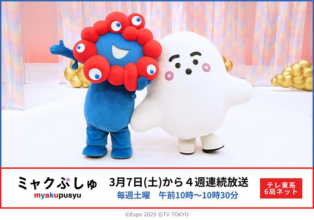 ミャクぷしゅ