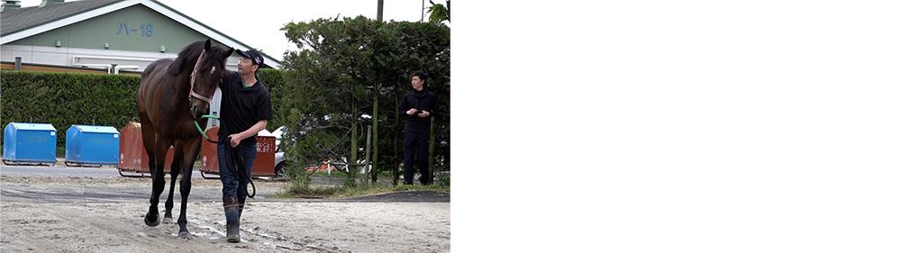 栄光へ駆ける 日本ダービー＆オークス2024