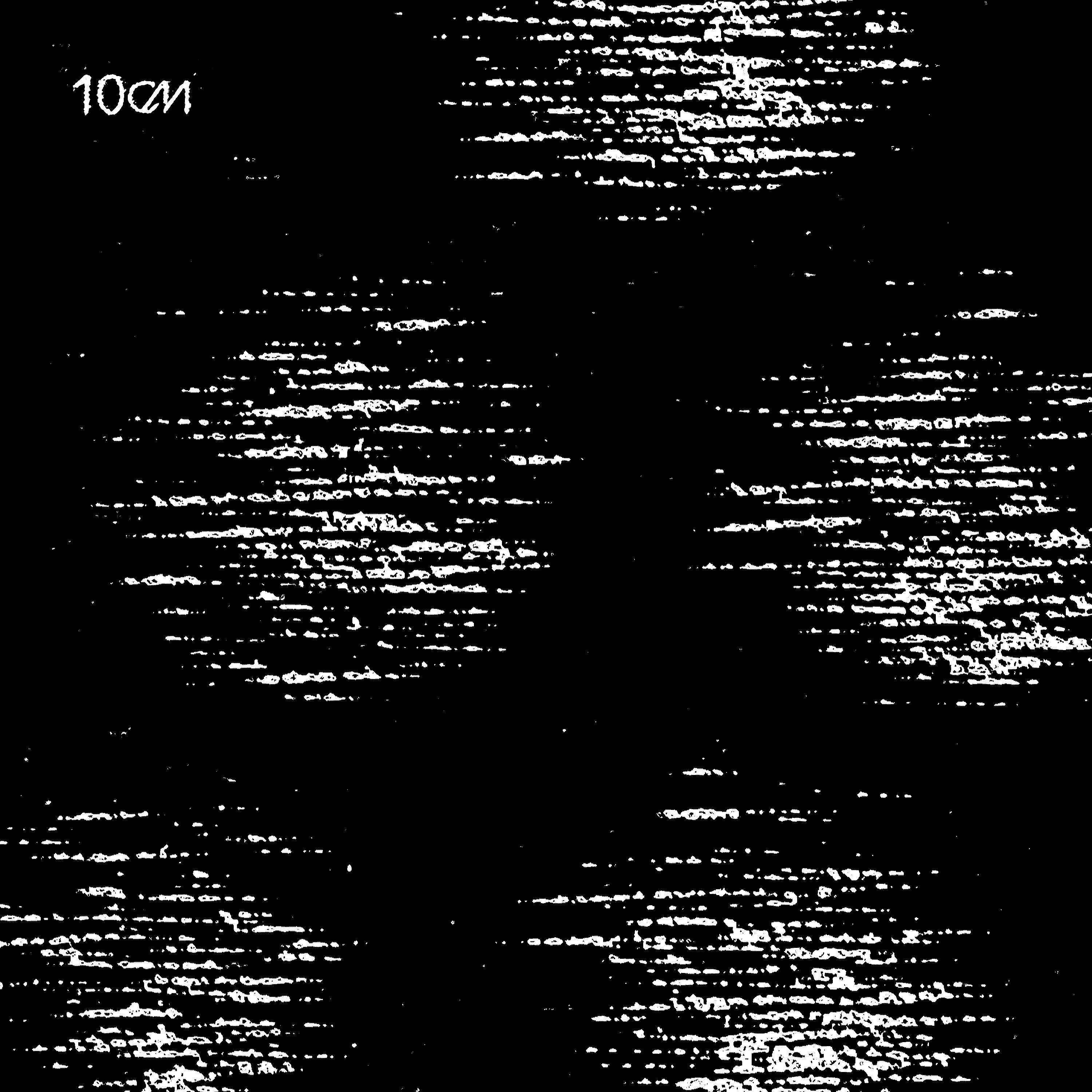 10CM/「The Darkest Night」