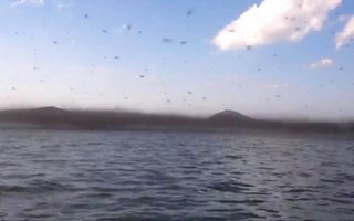仰天パニックシアター 仰天パニックシアター