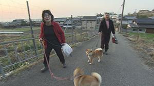 ザ・ドキュメンタリー