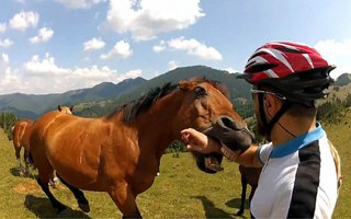 仰天パニックシアター 仰天パニックシアター