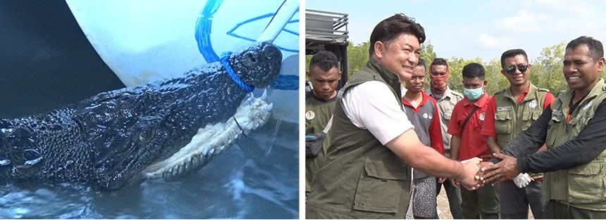 最恐生物③人食いワニ