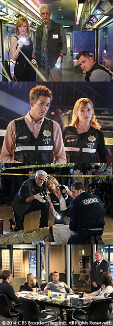 CSI：科学捜査班12