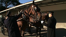 皇室の窓 皇室の伝統 千年受け継がれる謎
