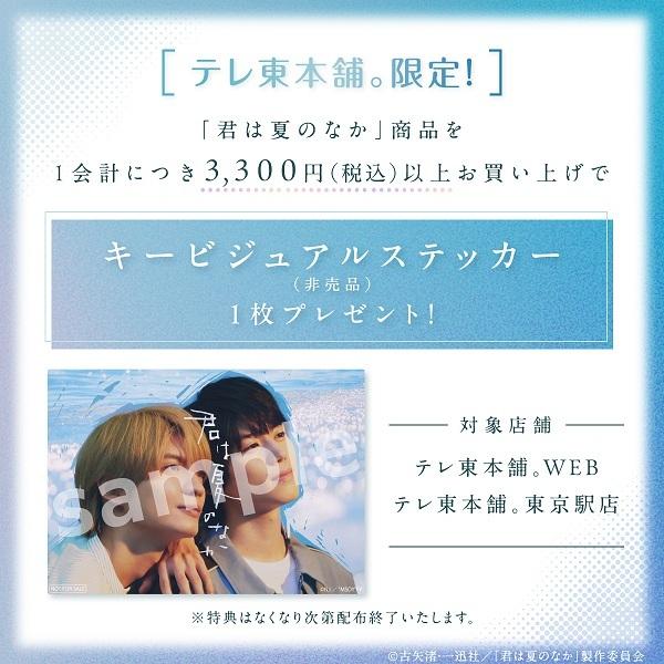ドラマNEXT「君は夏のなか」
