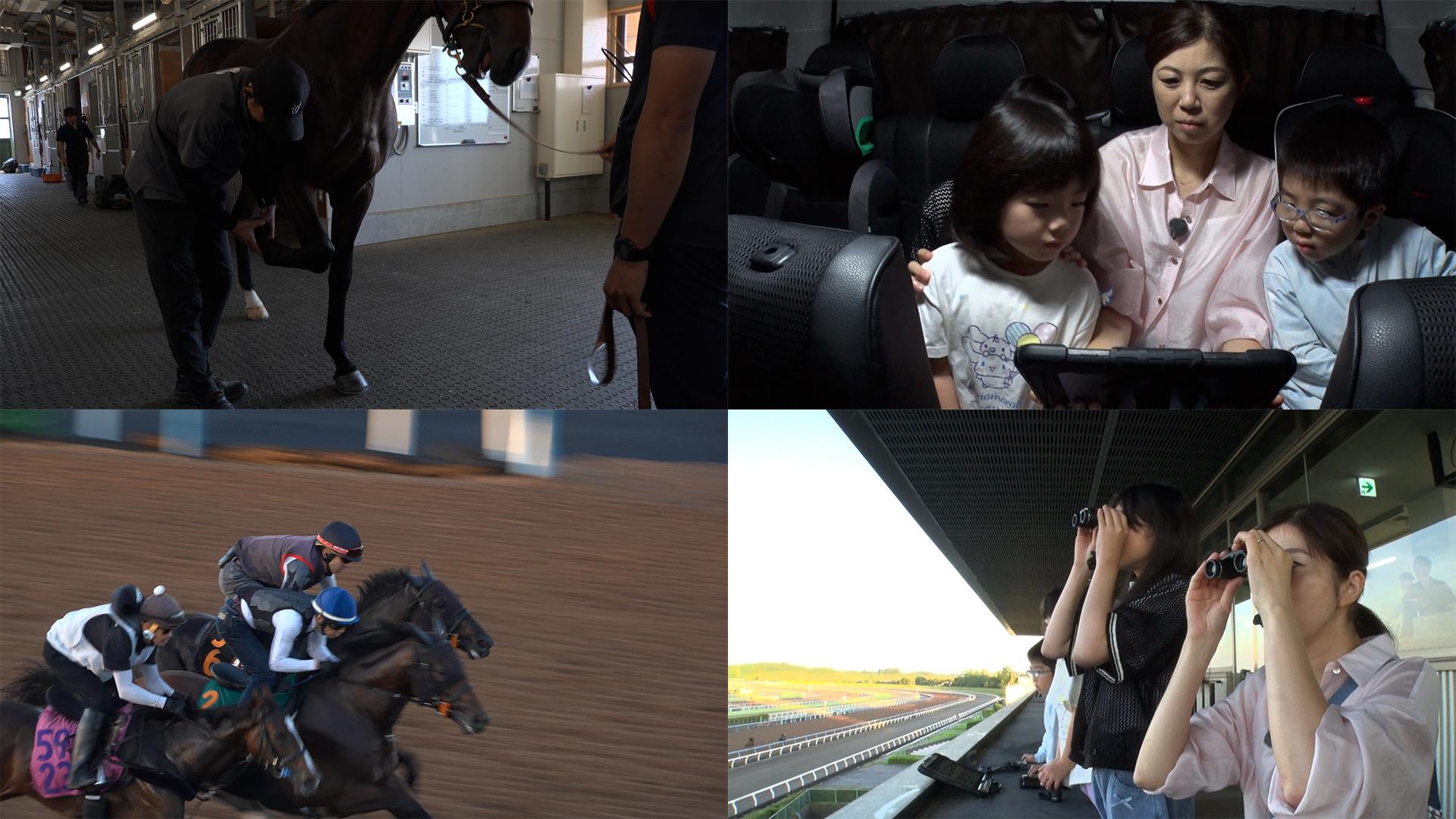 競馬