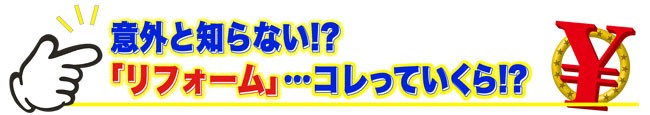 コレっていくら? ~なかなか聞けないアノ値段聞いてみた~