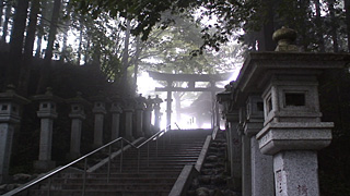 ご利益!金運!縁結び!全国開運神社巡りの旅 ご利益!金運!縁結び!全国開運神社巡りの旅