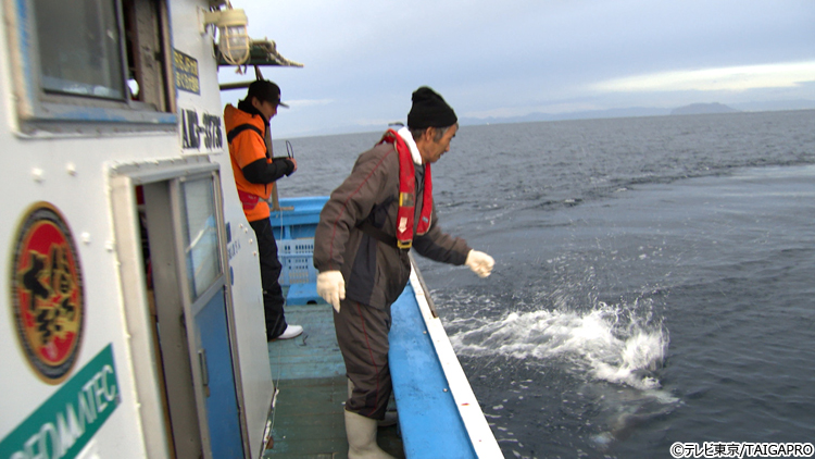 新マグロに賭けた男たち２０２４ 天国か地獄か