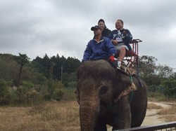 ポンコツおじさん旅に出る4