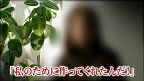 詐欺