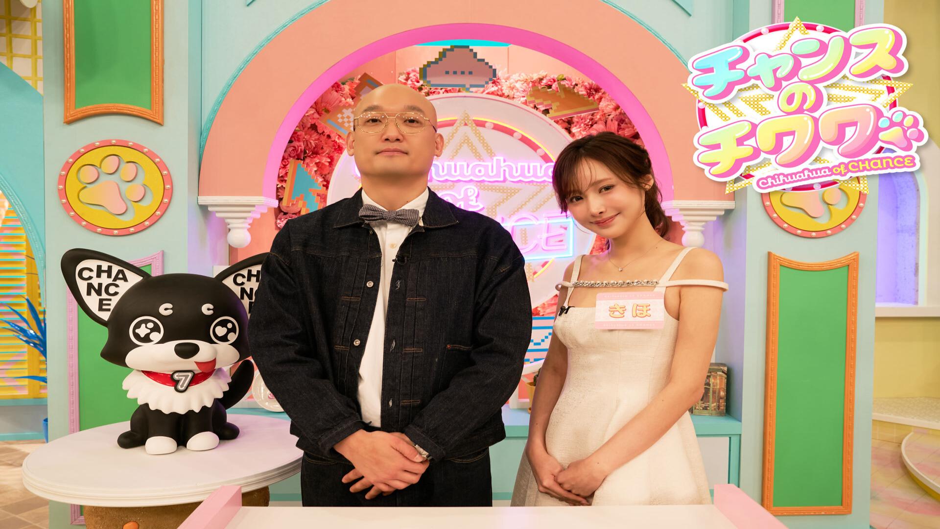 チャンスのチワワ