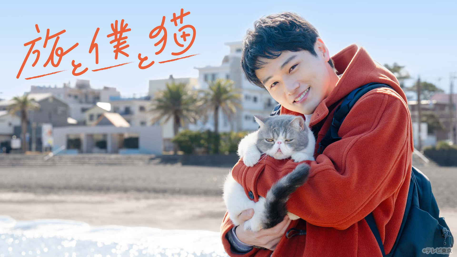 【木ドラ24】旅と僕と猫