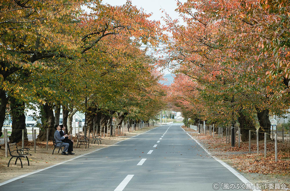 ドラマ25「風のふく島」