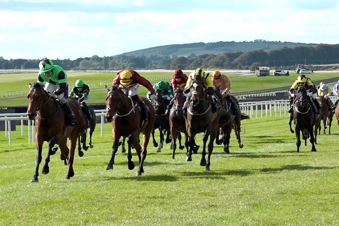 アイルランドのカラ競馬場 アイルランドのG1･13レース中11レースとほとんどを施行する象徴的な競馬場