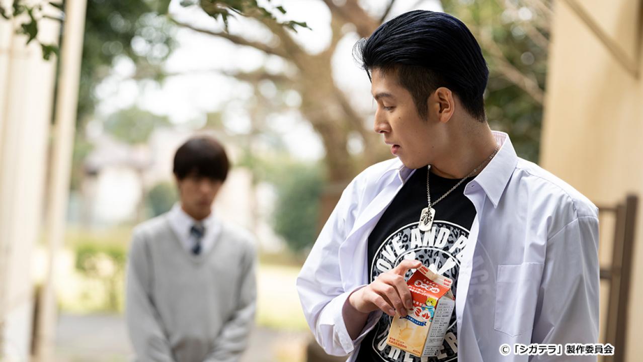 【ドラマ24】シガテラ