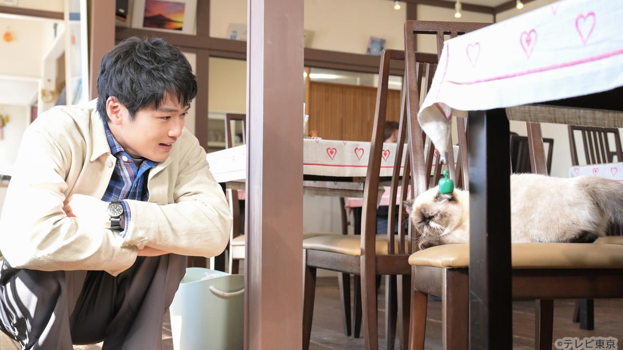 【木ドラ24】旅と僕と猫