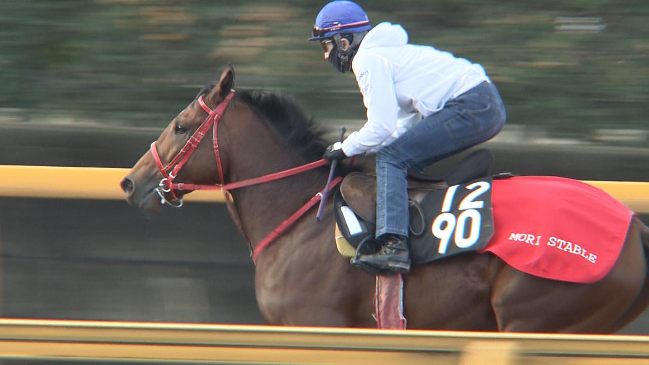 世界が絶賛!日本の匠 ~競馬を変えたメイドインジャパン~