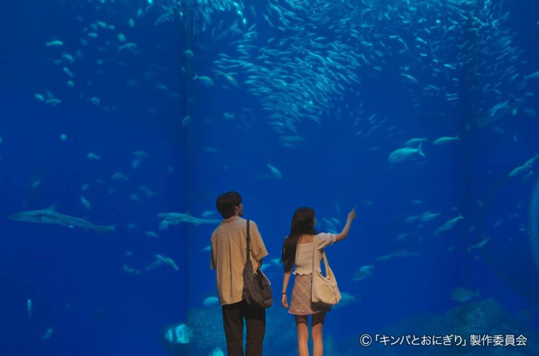 ドラマプレミア23「キンパとおにぎり〜恋するふたりは似ていてちがう〜」／첫입에 반하다