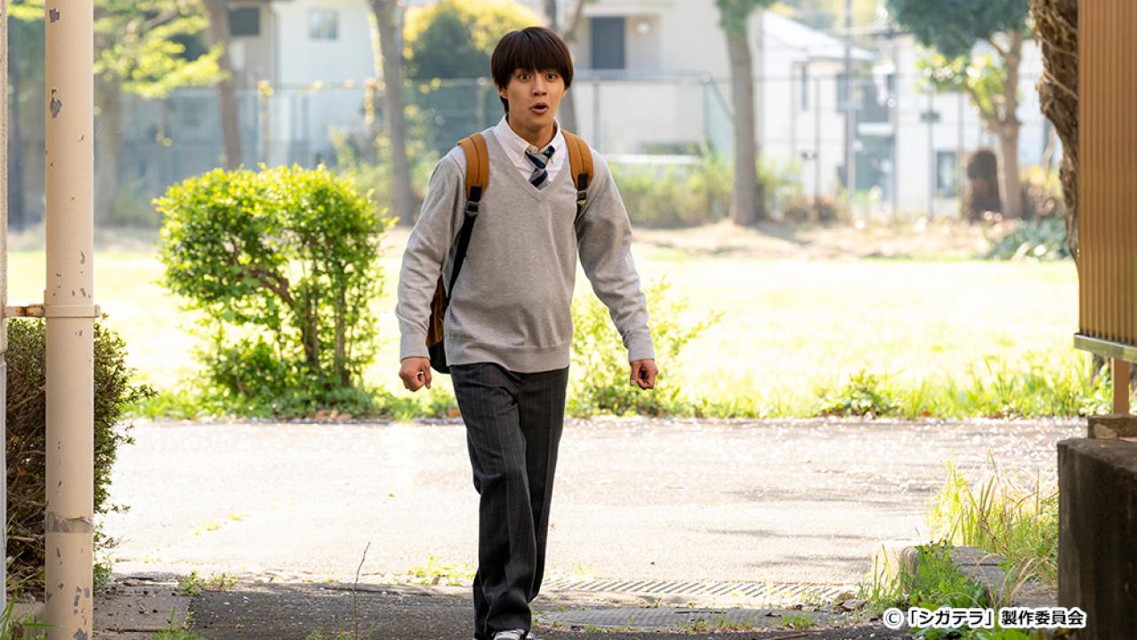 【ドラマ24】シガテラ