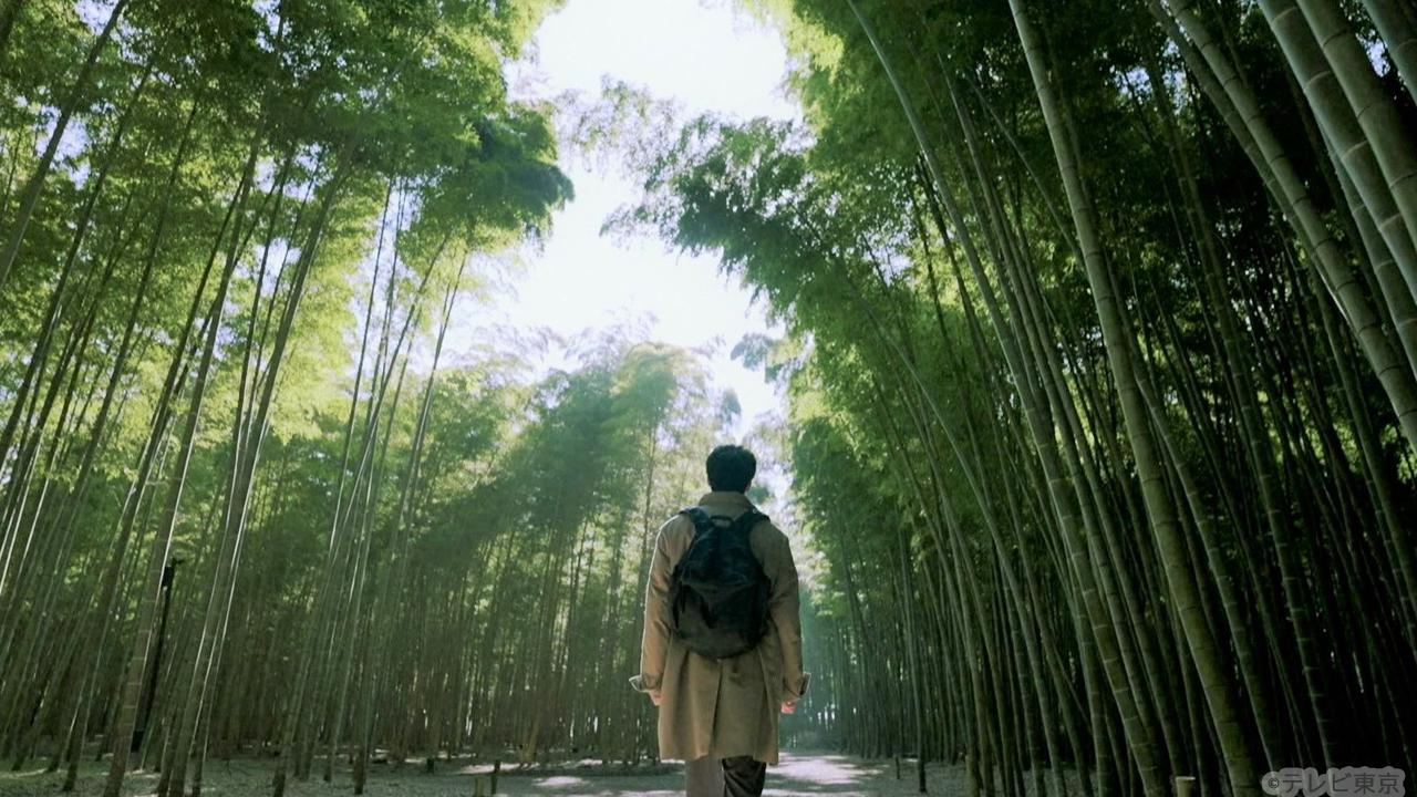 【木ドラ24】旅と僕と猫