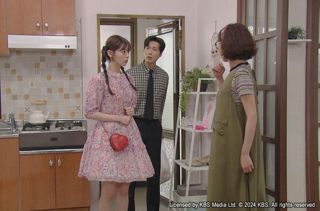 韓流プレミア　美女と純情男