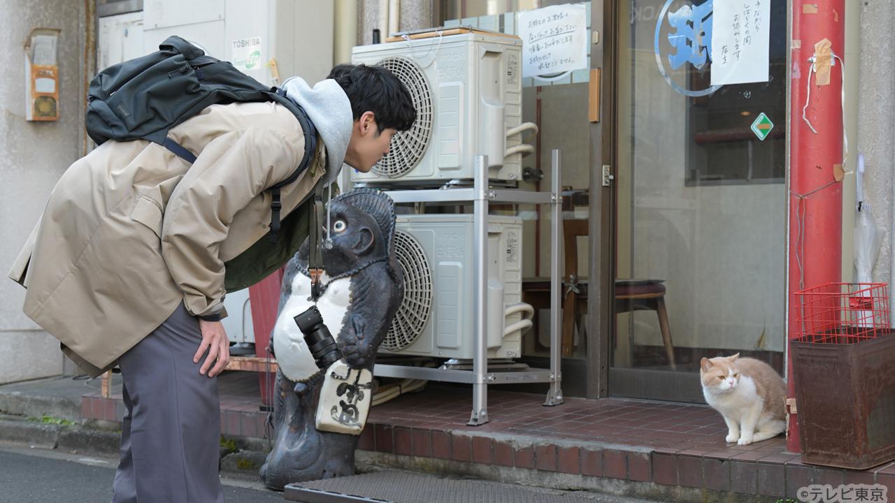 【木ドラ24】旅と僕と猫