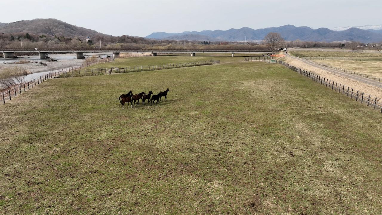日本ダービー2023 ~夢舞台への軌跡~