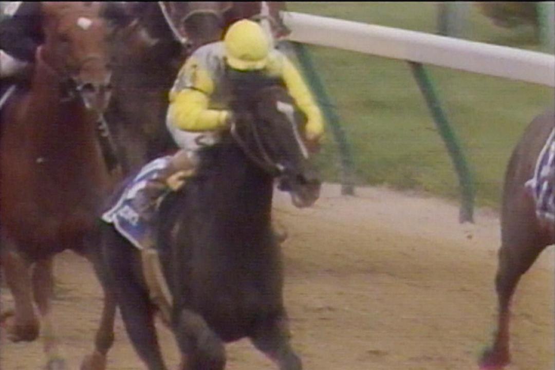 サンデーサイレンスの貴重なレース映像もお届け