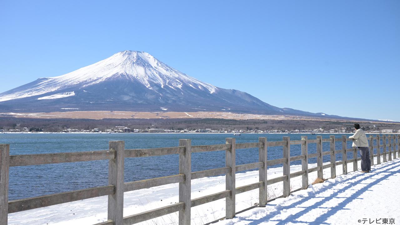 【木ドラ24】旅と僕と猫