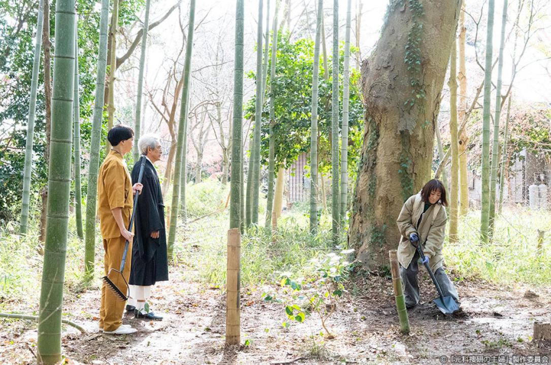 ドラマ9「元科捜研の主婦」