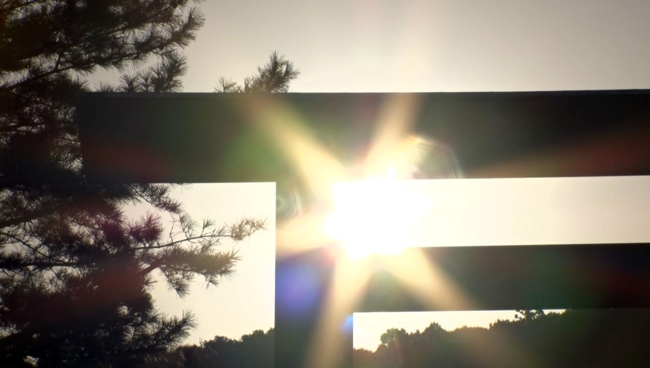 新春皇室の窓スペシャル～伊勢神宮を訪ねて～