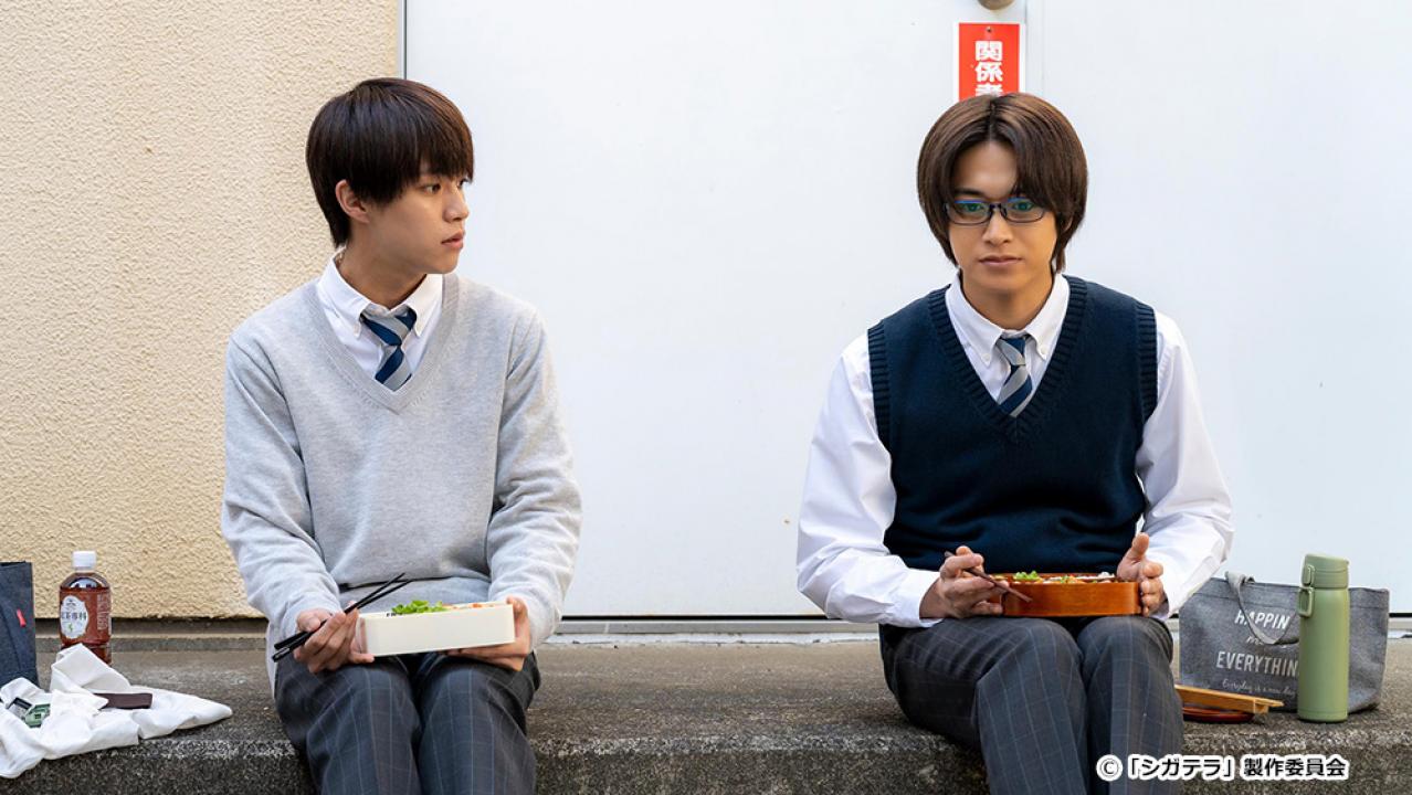 【ドラマ24】シガテラ