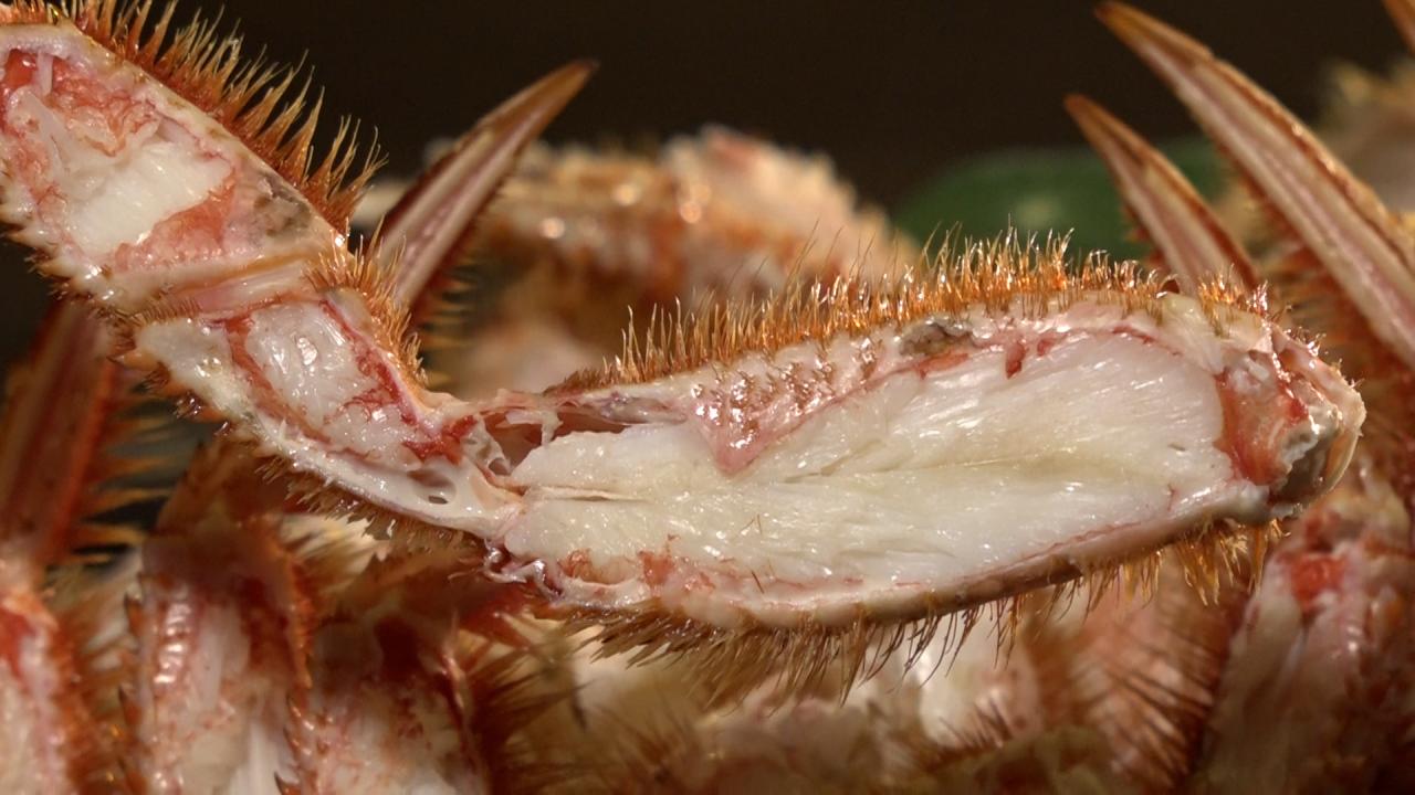 武豊 -THE ORIGIN- 〜始まりの地・函館〜