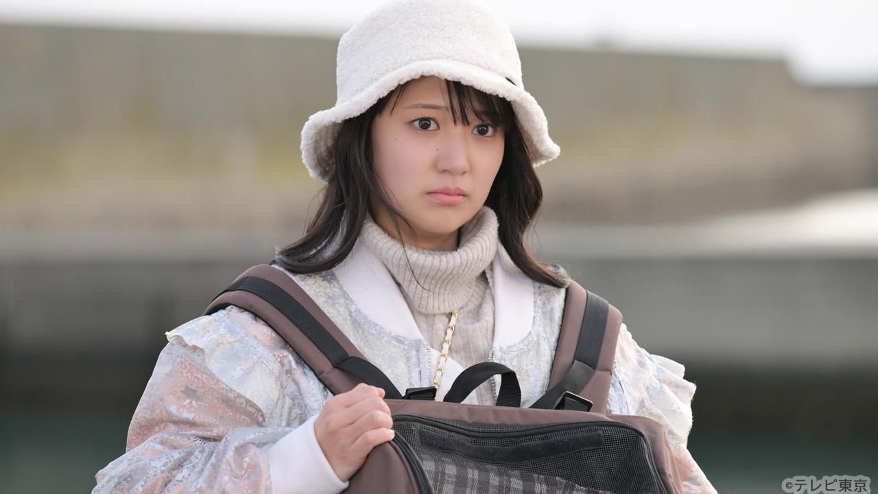 【木ドラ24】旅と僕と猫