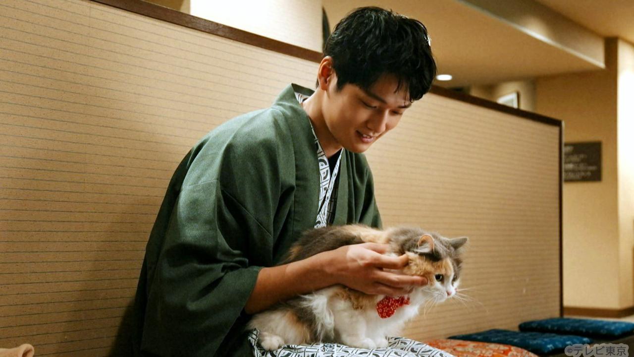 【木ドラ24】旅と僕と猫