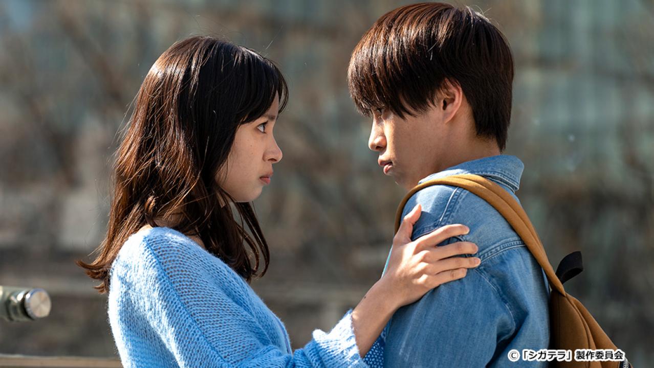 【ドラマ24】シガテラ