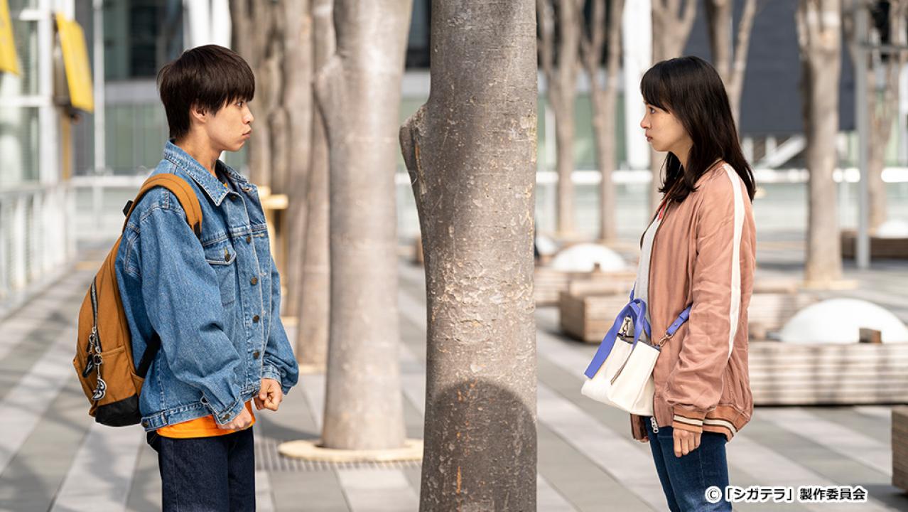 【ドラマ24】シガテラ