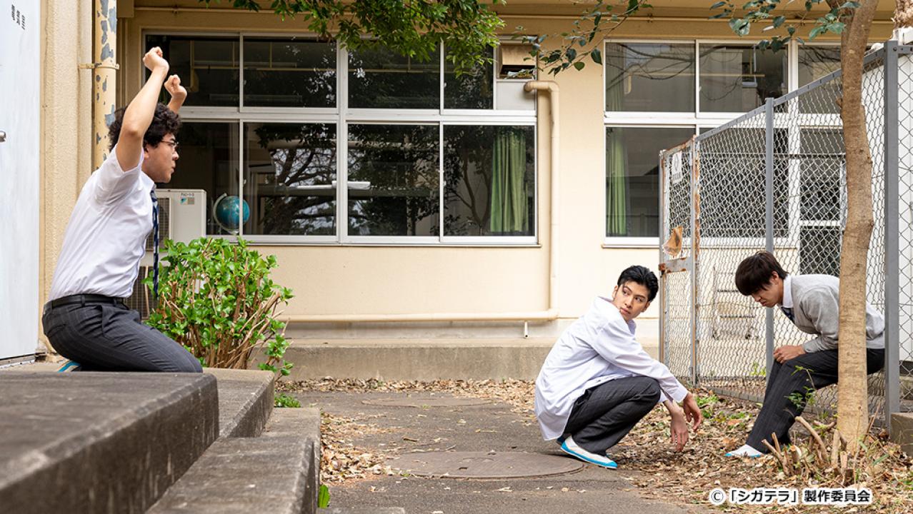 【ドラマ24】シガテラ