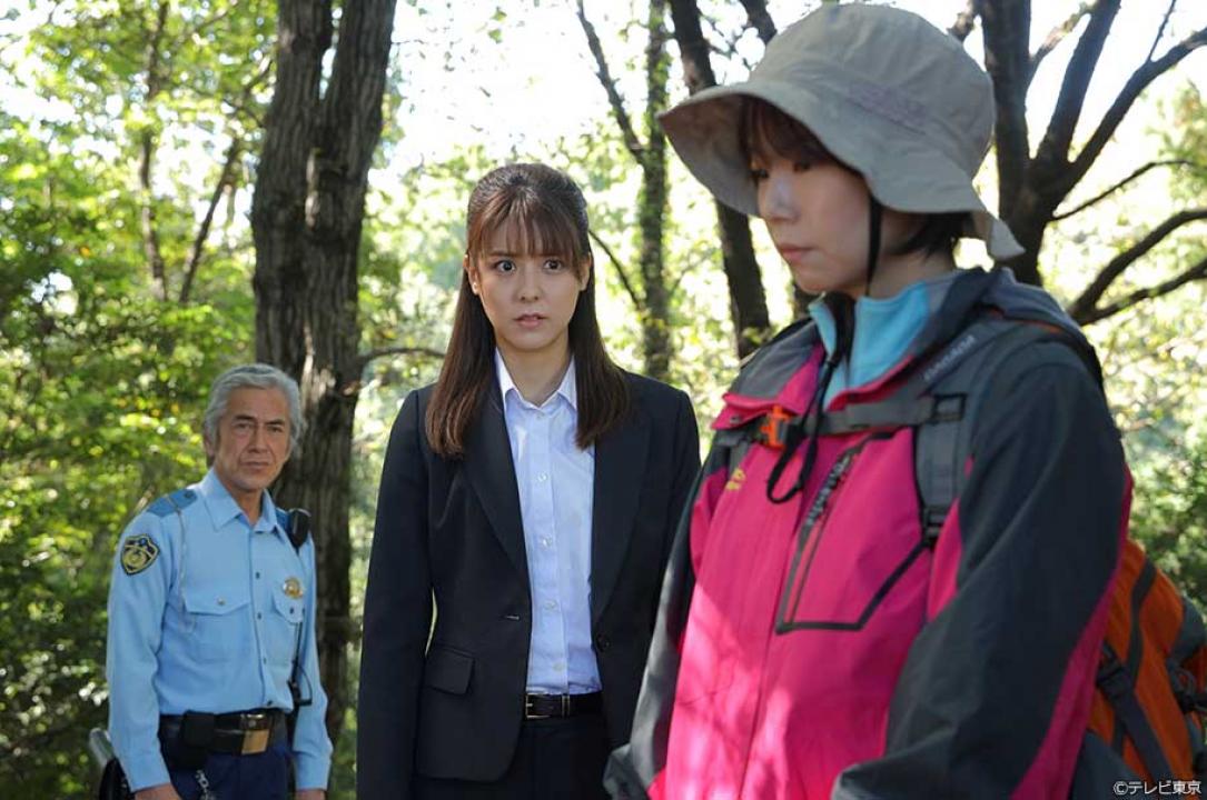 【金曜8時のドラマ】駐在刑事Season3
