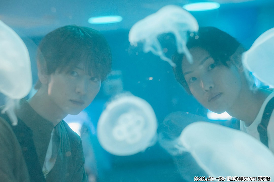 ドラマNEXT「雨上がりの僕らについて」