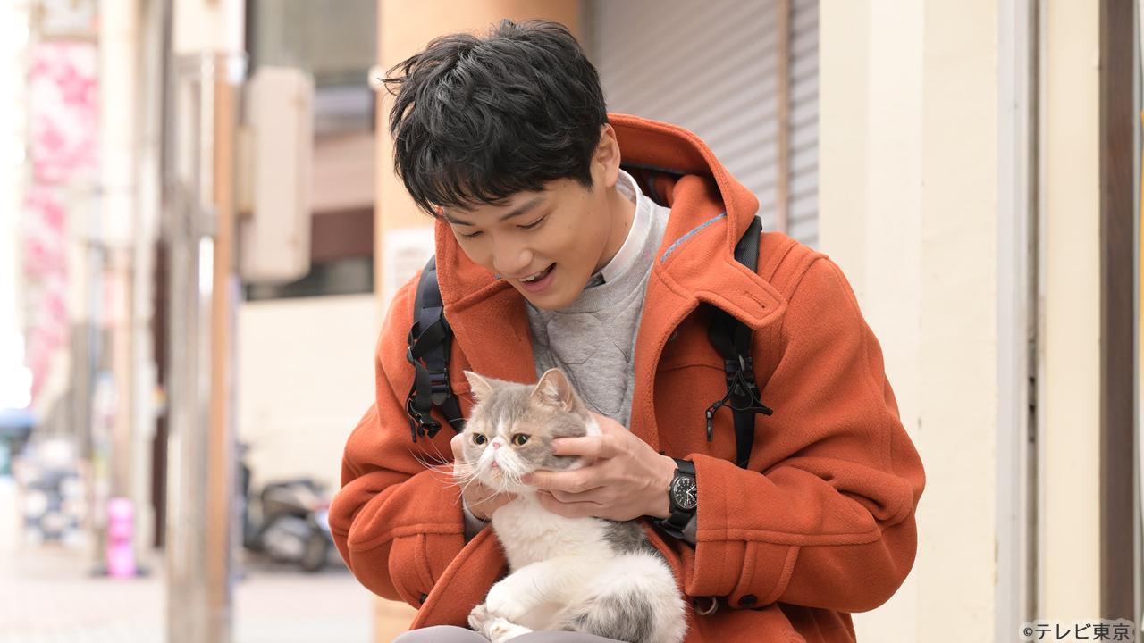 【木ドラ24】旅と僕と猫