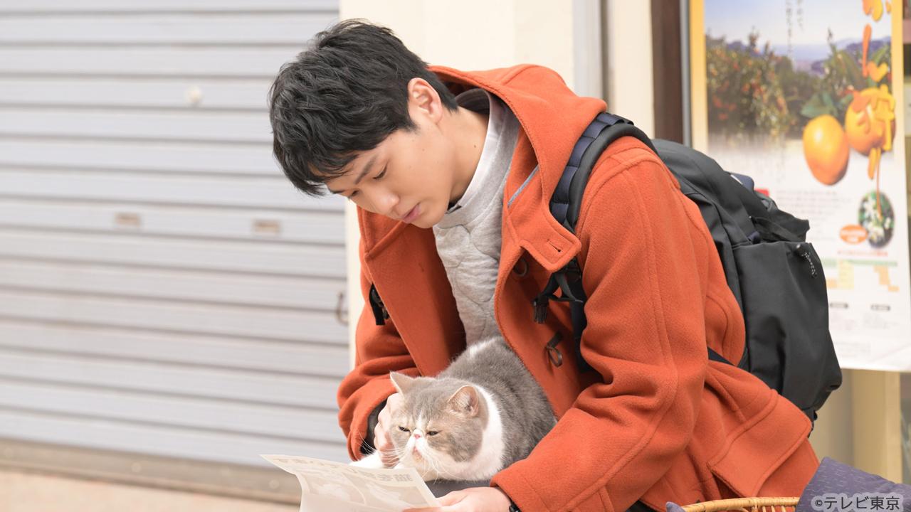 【木ドラ24】旅と僕と猫