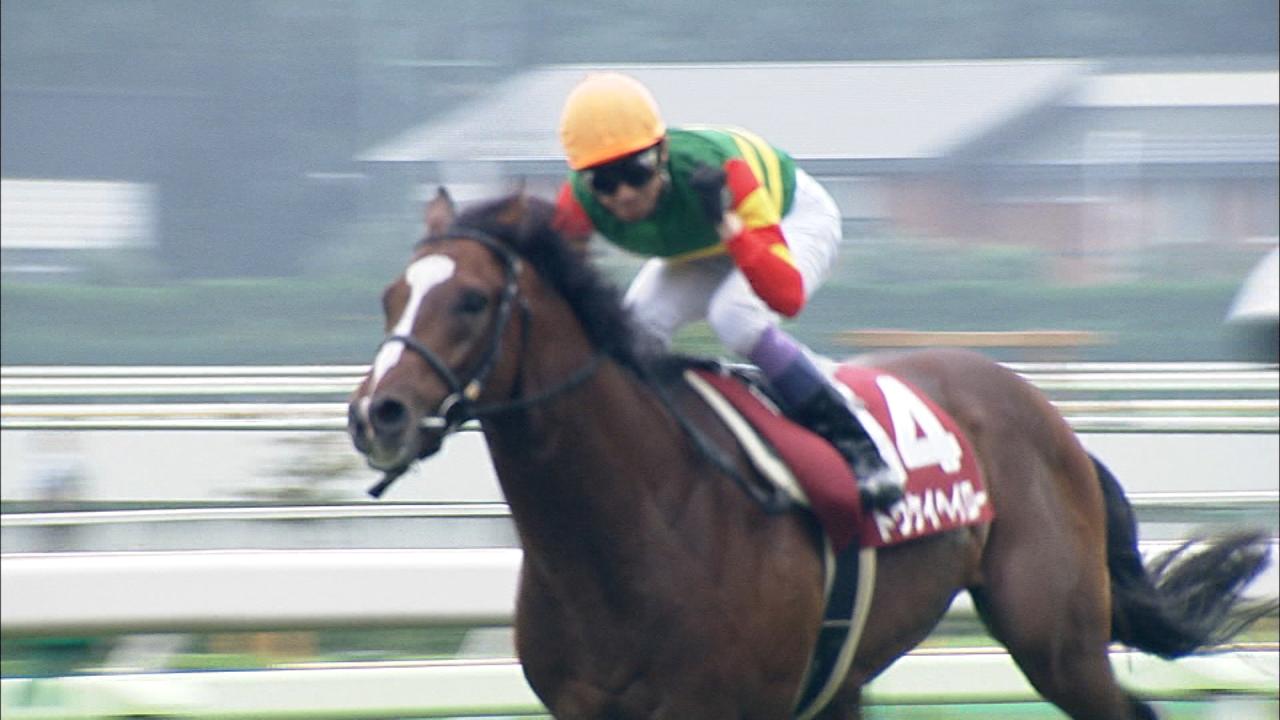 武豊 -THE ORIGIN- 〜始まりの地・函館〜